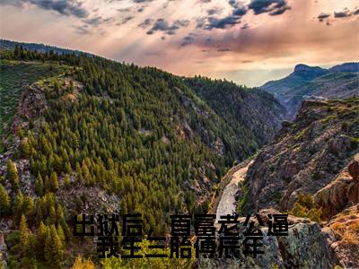 出狱后，首富老公逼我生三胎傅辰年（傅辰年宋欢）小说全文免费阅读大结局-出狱后，首富老公逼我生三胎傅辰年免费阅读无弹窗大结局