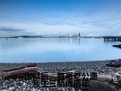 出狱后,首富老公逼我生三胎傅辰年小说免费(傅辰年宋欢)全文免费阅读无弹窗-出狱后,首富老公逼我生三胎傅辰年小说全文免费阅读-笔趣阁