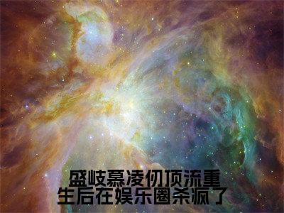  盛岐慕凌仞小说（顶流重生后在娱乐圈杀疯了）全文免费阅读无弹窗大结局_ 盛岐慕凌仞小说最新章节列表_笔趣阁
