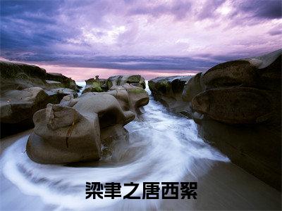 (唐西絮梁聿之)全文免费阅读 梁聿之唐西絮言情小说讲的是什么