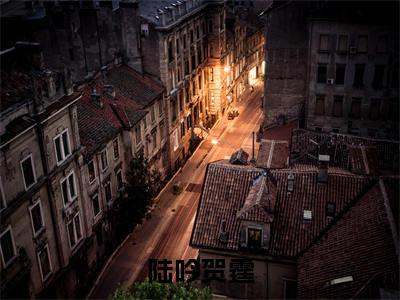 陆吟贺霆（陆吟贺霆）小说全文免费阅读无弹窗大结局_陆吟贺霆全文在线阅读无弹窗（陆吟贺霆）