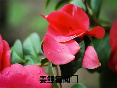 姜鲤霍闻璟（霍闻璟姜鲤）全文免费阅读无弹窗大结局_霍闻璟姜鲤免费阅读最新章节列表_笔趣阁
