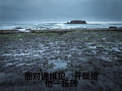 面对通缉犯,开局给他一板砖(苏墨)全文免费阅读最新章节_面对通缉犯,开局给他一板砖大结局精彩阅读_笔趣阁(苏墨)