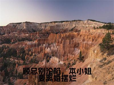顾总别沦陷,本小姐要离婚摆烂(盛诗音顾景琛全文免费大结局)在线阅读-盛诗音顾景琛全文无删减免费赏析