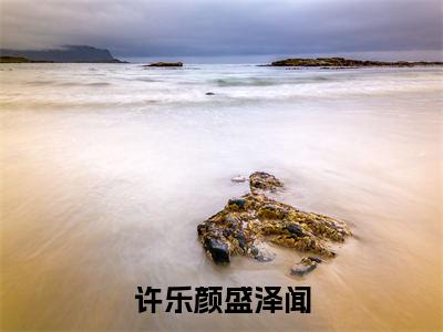 许乐颜盛泽闻(许乐颜盛泽闻)全文免费阅读无弹窗大结局_(许乐颜盛泽闻)许乐颜盛泽闻最新章节列表笔趣阁