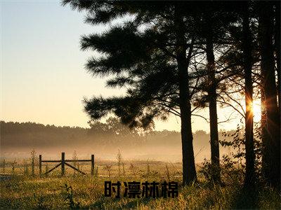 时凛林棉(林棉时凛)全文免费阅读_(时凛林棉)免费阅读无弹窗最新章节列表