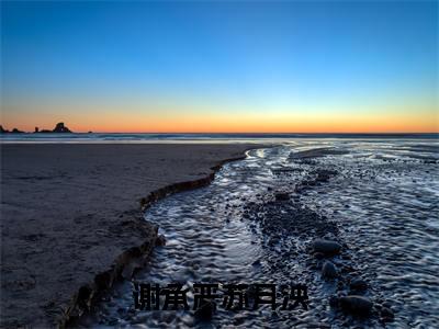 苏月泱谢承严(谢承严苏月泱)免费阅读无弹窗大结局_(谢承严苏月泱)苏月泱谢承严最新章节列表_笔趣阁