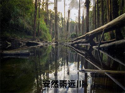安然秦远川多人追的小说在哪里可以看 安然秦远川小说免费阅读全章节