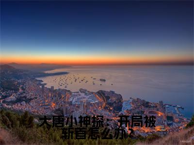 大唐小神探：开局被斩首怎么办？无弹窗（宋真）全文免费阅读无弹窗大结局_宋真最新章节列表（宋真）