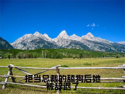 周寒之孟南絮全文(拒当总裁的舔狗后她被辞退了小说)全文免费阅读无弹窗大结局_拒当总裁的舔狗后她被辞退了免费最新章节列表
