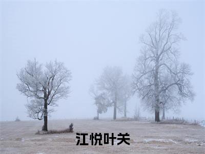 江悦叶关(叶关江悦)全文免费阅读无弹窗大结局_江悦叶关免费阅读无弹窗最新章节列表_笔趣阁