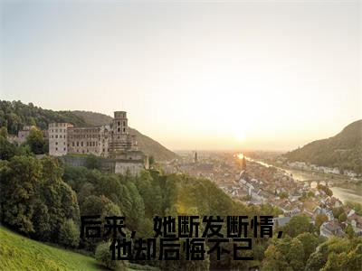 后来,她断发断情,他却后悔不已免费阅读林意晚沈明乾最新章节目录