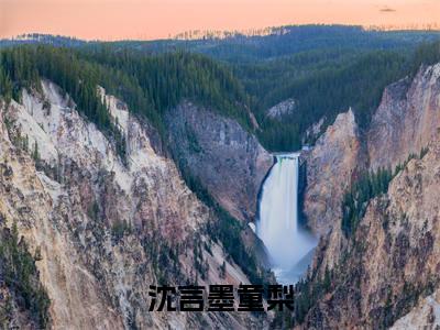 沈言墨童梨最新热门榜单小说-童梨沈言墨全文无弹窗免费阅读大结局