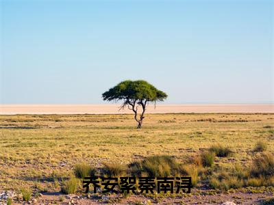 乔安絮秦南浔(乔安絮秦南浔)全文免费阅读无弹窗大结局_乔安絮秦南浔小说最新章节列表