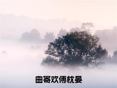 曲寄欢傅枕晏免费阅读-(曲寄欢傅枕晏)全文免费阅读无弹窗大结局(曲寄欢傅枕晏)最新章节列表_笔趣阁