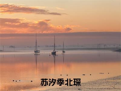 苏汐季北琛(苏汐季北琛)全文免费阅读无弹窗大结局_苏汐季北琛最新章节列表(苏汐季北琛)