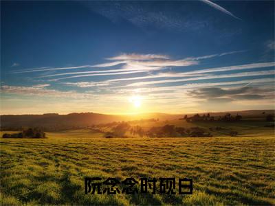 阮念念时砚白(时砚白阮念念)小说全文免费读无弹窗大结局_阮念念时砚白小说全文免费阅读最新章节列表笔趣阁