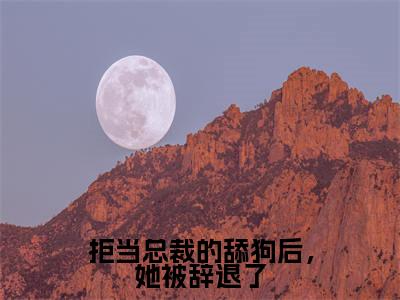 拒当总裁的舔狗后,她被辞退了(周寒之孟南絮)免费阅读-(周寒之孟南絮)最新章节小说全文在线阅读