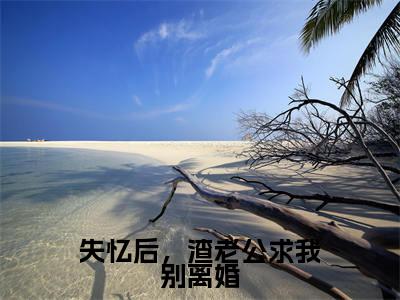 失忆后，渣老公求我别离婚全文免费阅读大结局_陆寒山乐颜已完结全集失忆后，渣老公求我别离婚大结局小说