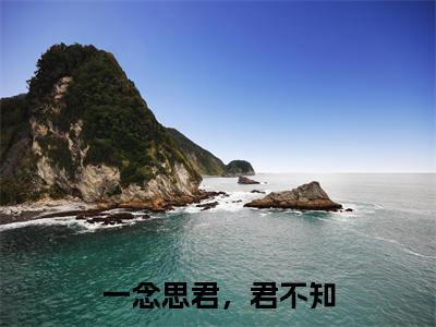 一念思君,君不知(沈念秋萧云成)小说全文免费读无弹窗大结局_一念思君,君不知小说章节试读最新章节列表笔趣阁