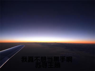 我真不想当黑手啊全文免费阅读无弹窗大结局_我真不想当黑手啊( 苏寻王腾)小说结局免费阅读（ 苏寻王腾）