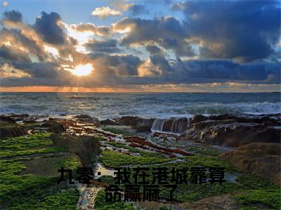 九零:我在港城靠算命赢麻了(林知闲)小说最新章节-小说九零:我在港城靠算命赢麻了(林知闲)完整版全文在线赏析