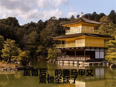 顾南音陆予寒(离婚后,前妻马甲又震惊全球了)全文阅读完整版_顾南音陆予寒(离婚后,前妻马甲又震惊全球了)小说免费阅读大结局无删减