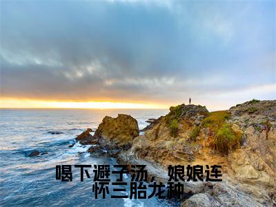 喝下避子汤,娘娘连怀三胎龙种(卫宴洲程宁)全文免费阅读无弹窗大结局_ 喝下避子汤,娘娘连怀三胎龙种最新章节完整版阅读