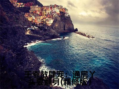 王爷放肆宠：通房丫头要翻身(精修版）（ 叶珍珍齐宥）小说小说全集  叶珍珍齐宥无删减在线阅读