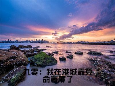 林知闲(九零：我在港城靠算命赢麻了)小说免费阅读无弹窗完整版_(九零：我在港城靠算命赢麻了)林知闲最新章节列表笔趣阁