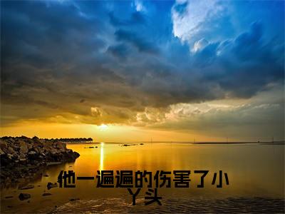 他一遍遍的伤害了小丫头(沈照江莱全文在线阅读)-他一遍遍的伤害了小丫头(沈照江莱)免费阅读