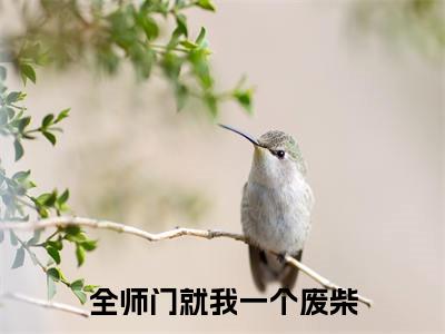 全师门就我一个废柴(顾清汐)免费阅读无弹窗-小说全师门就我一个废柴大结局全文免费阅读