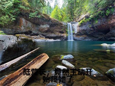 陆京衡沈南央小说最后结局-陆营长,竟然主动开始疼她了完结版免费阅读