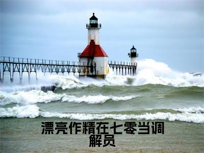 漂亮作精在七零当调解员(姜安安)全文免费阅读_姜安安正版小说全文阅读