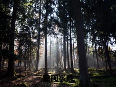 霍砚岑桑(岑桑霍砚)全文免费阅读_霍砚岑桑(岑桑霍砚)最新章节小说免费阅读