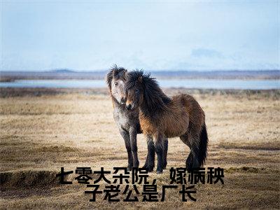 七零大杂院,嫁病秧子老公是厂长(盛启晖苏舸)热门小说盘点在线阅读-七零大杂院,嫁病秧子老公是厂长小说无弹窗