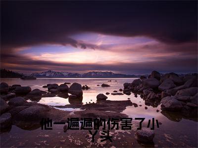 江莱沈照（他一遍遍的伤害了小丫头）全文小说免费阅读-江莱沈照最新章节列表_笔趣阁