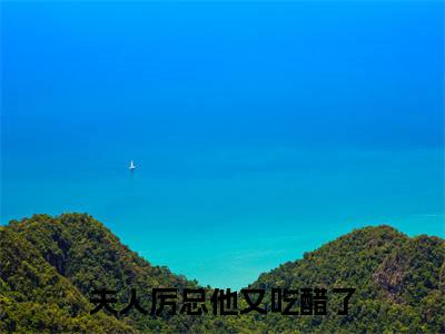 唐意欢厉墨衍完整版（夫人厉总他又吃醋了小说）全文免费阅读无弹窗大结局_夫人厉总他又吃醋了最新章节（唐意欢厉墨衍小说）