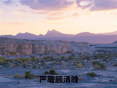 顾清晚严曜小说免费下载阅读_(严曜顾清晚)顾清晚严曜最新章节列表_笔趣阁(严曜顾清晚)
