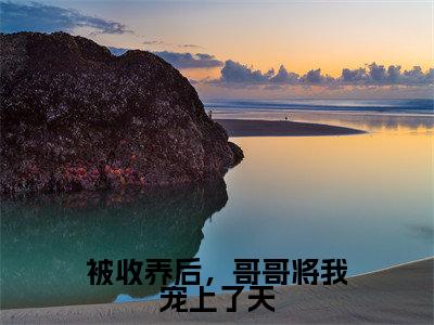 许希辞许翊免费小说(被收养后,哥哥将我宠上了天)全文无弹窗阅读 许希辞许翊大结局免费阅读无弹窗