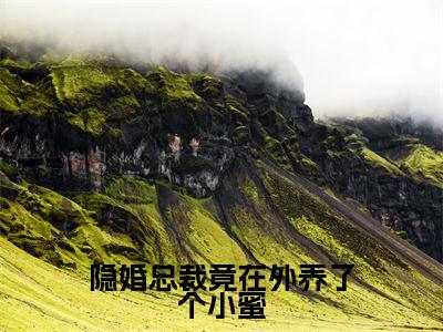 隐婚总裁竟在外养了个小蜜(蒋为颜沈泊简)全文免费阅读无弹窗大结局_隐婚总裁竟在外养了个小蜜全文完整无删减版免费阅读
