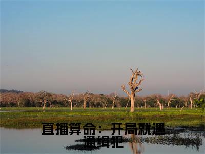 直播算命:开局就遇通缉犯无广告小说(姜也)全文免费阅读无弹窗大结局-直播算命:开局就遇通缉犯在线阅读