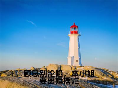 顾总别沦陷，本小姐要离婚摆烂小说免费下载（顾总别沦陷，本小姐要离婚摆烂完整全集已完结大结局小说）_盛诗音顾景琛免费阅读笔趣阁