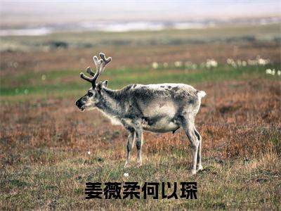 姜薇柔何以琛(姜薇柔何以琛)全文免费阅读无弹窗大结局_姜薇柔何以琛免费阅读最新章节列表_笔趣阁
