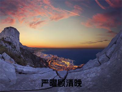 严曜顾清晚小说(顾清晚严曜)全文免费阅读无弹窗_严曜顾清晚高赞小说免费阅读笔趣阁(顾清晚严曜)