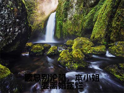 顾总别沦陷,本小姐要离婚摆烂(盛诗音顾景琛)小说全文免费阅读无弹窗大结局_(盛诗音顾景琛免费阅读)顾总别沦陷,本小姐要离婚摆烂最新章节列表笔趣阁