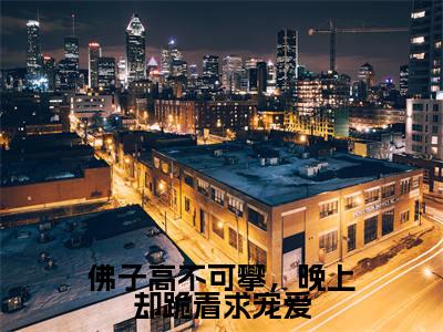 佛子高不可攀,晚上却跪着求宠爱(商凛南初)全文免费阅读无弹窗大结局_佛子高不可攀,晚上却跪着求宠爱小说全文免费阅读最新章节列表(商凛南初)