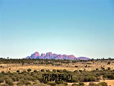 沉溺我心小说(肖映雪沈翎天)全文免费阅读无弹窗大结局_(沉溺我心)肖映雪沈翎天最新章节列表
