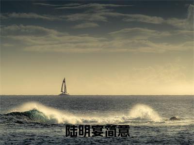 陆明宴简意(简意陆明宴)全文免费阅读-小说陆明宴简意大结