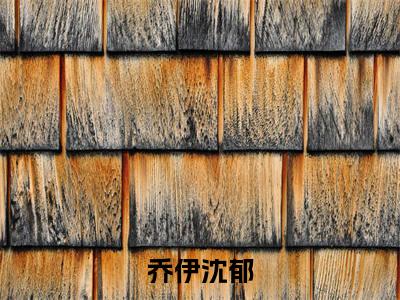 沈郁乔伊的小说主角(乔伊沈郁)免费阅读_乔伊沈郁热搜小说完结版阅读